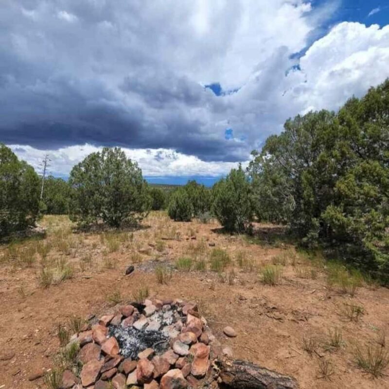 Chrysotile Arizona: Off-Roading to Regal Canyon Scenic Views - Scenic Highlights: Regal Canyon and Salt River Views