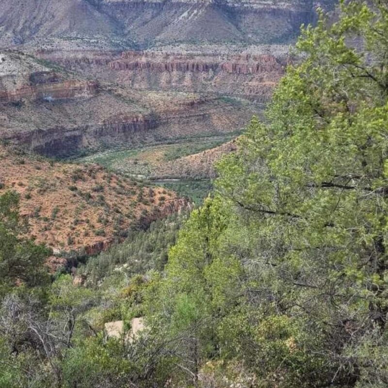 Chrysotile Arizona: Off-Roading to Regal Canyon Scenic Views - Wildlife and Bird Watching Opportunities