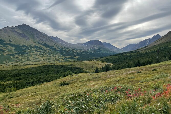Chugach State Park Nature Walk - Meeting Point and Logistics in Anchorage