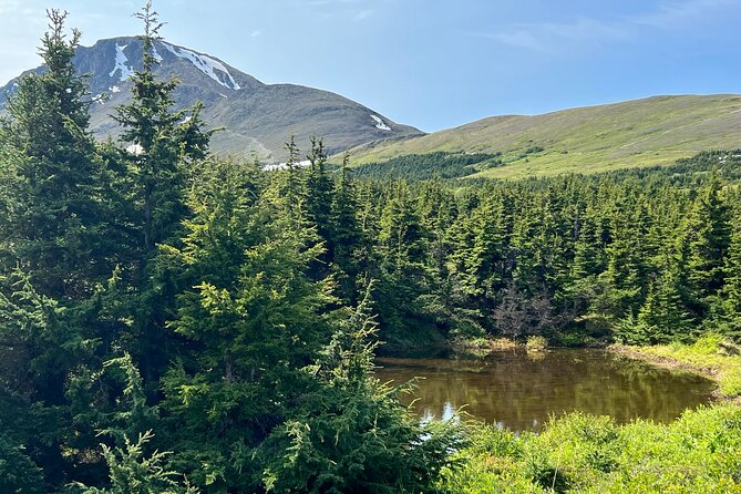 Chugach State Park Nature Walk - Physical Requirements and Accessibility