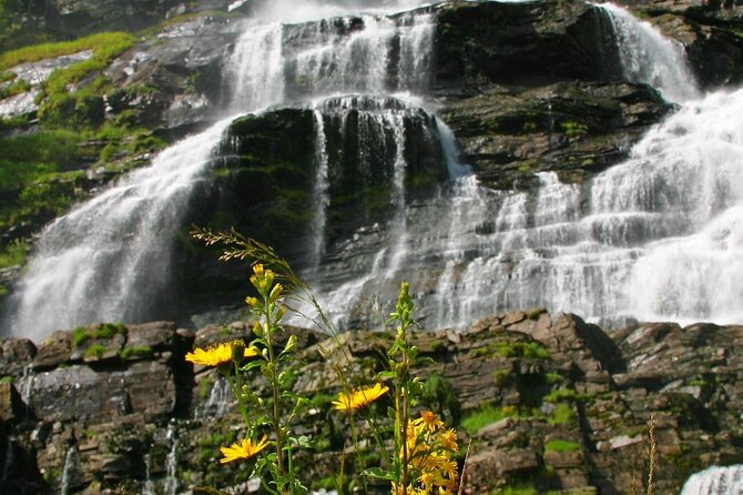 Cidery Day Tour with a Fjord Cruise from Bergen - Key Points