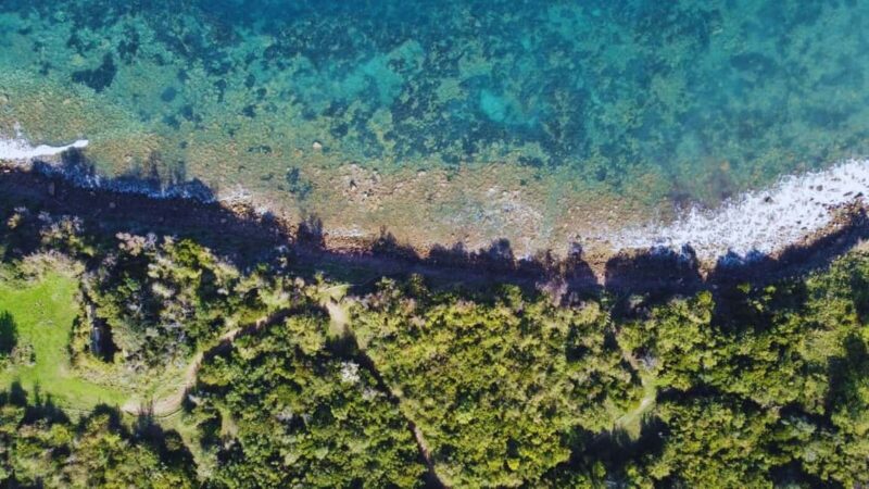 Cilento: 12-meter dive for experts in Sauco Bay - Cilento: 12-meter dive for experts in Sauco Bay – A deep exploration of the marine world in Campania
