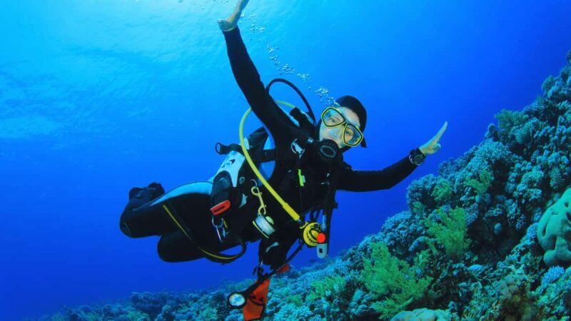 Cilento: 12-meter dive for experts in Sauco Bay - Key Points