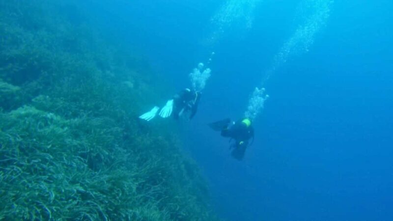 Cilento: 12-meter dive for experts in Sauco Bay - The underwater environment at Sauco Bay