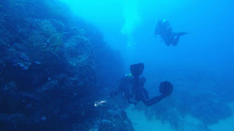 Cilento: 12-meter dive for experts in Sauco Bay - Equipment and safety considerations