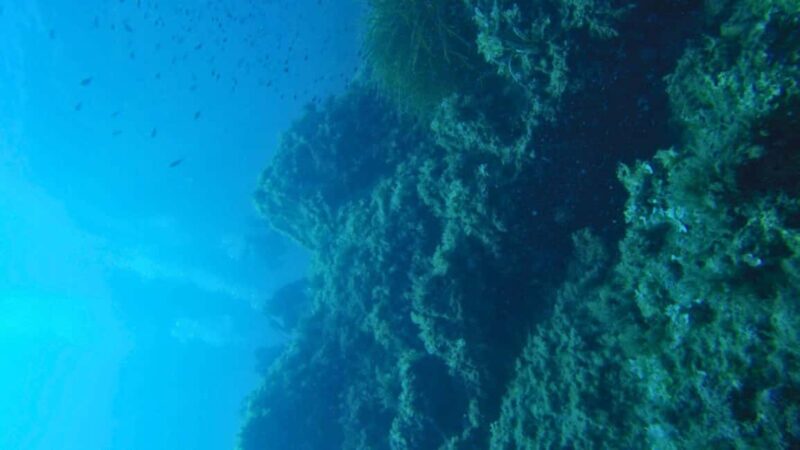 Cilento: 12-meter dive for experts in Sauco Bay - Comparing this tour with similar experiences