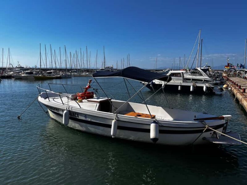 Cilento Sea: Boat Tour, Swim Stop, and Tasting - Starting Point at Agropoli Port and Meeting Details