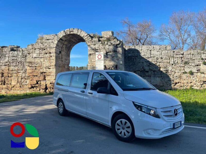 Cilento Wine: Tour & Tasting Experience - Savoring Regional Delicacies Alongside Wine