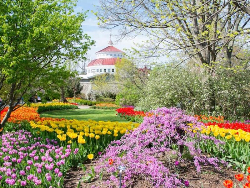 Cincinnati: Cincinnati Zoo Admission Ticket - What Not to Bring and Important Rules