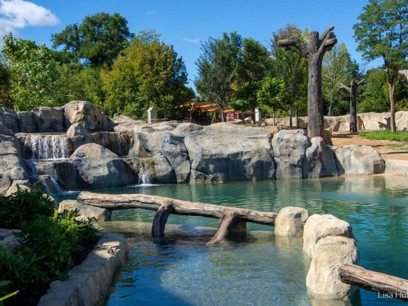 Cincinnati: Cincinnati Zoo Admission Ticket - Accessibility and Family-Friendliness