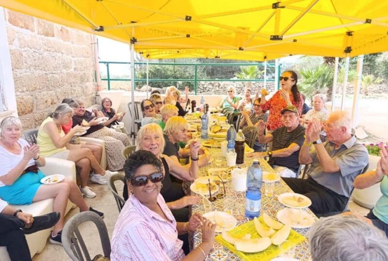 Cinisi: Milking and experience with fomaggi in a dairy. - From the Milking Parlor to Cheese Molds