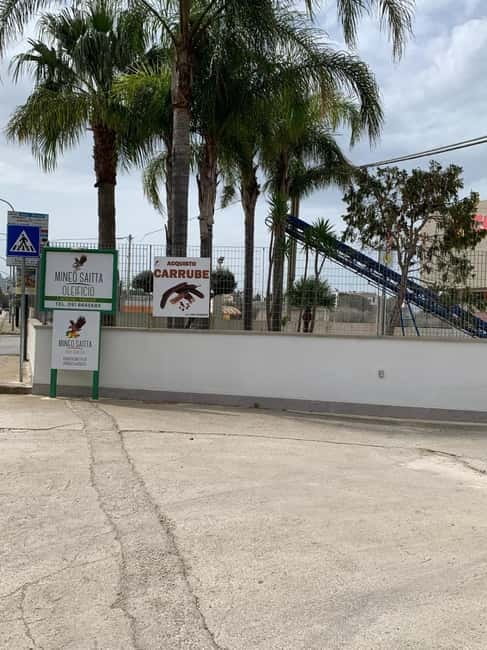 CINISI: OLIVE OIL TOUR- THE OLIVE OIL TASTING AND APERITIF TOUR - Sampling Sicilian Flavors during the Tasting and Aperitif