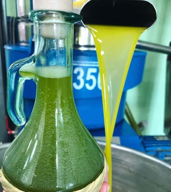 CINISI: OLIVE OIL TOUR- THE OLIVE OIL TASTING AND APERITIF TOUR - Why This Tour Stands Out from Others in Sicily