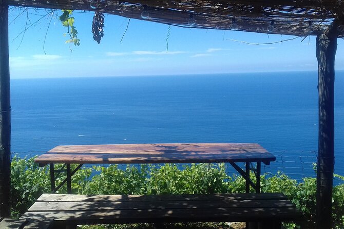 Cinque Terre by train and boat - Scenic Charm of Manarola and Its Rocky Port