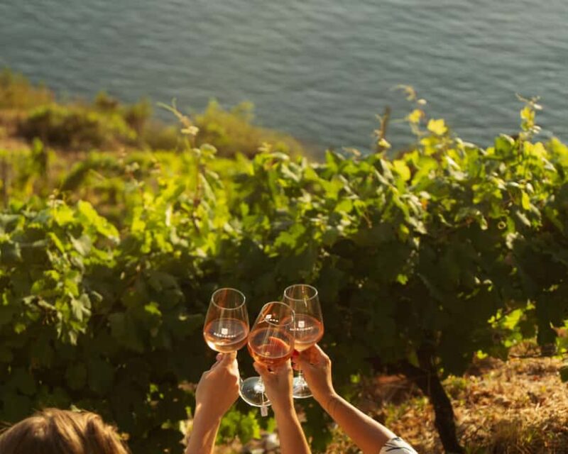 Cinque Terre: Panoramic Walk with Wine Tasting and Light Lunch - Key Points
