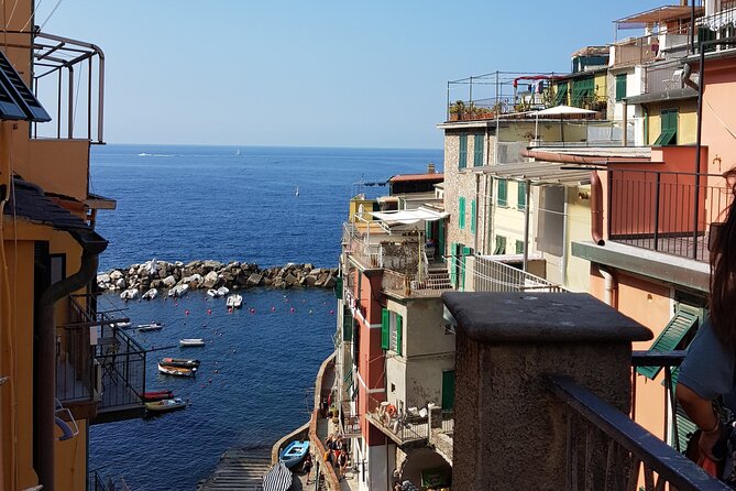 Cinque Terre Private Day Tour from Rome - Visiting Manarola’s Historic Harbour