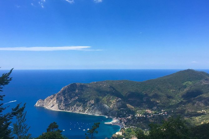 Cinque Terre Private Tour from Lucca - Lunch and Optional Ferry Rides Enhance the Day