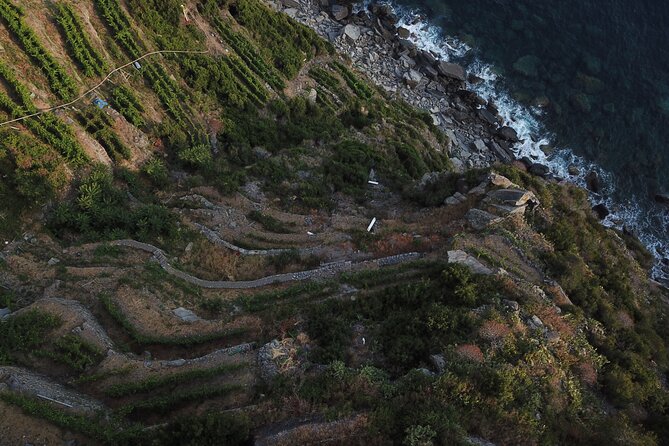 Cinque Terre Private Wine And Views Tour - Pick-up and departure from La Spezias scenic meeting point
