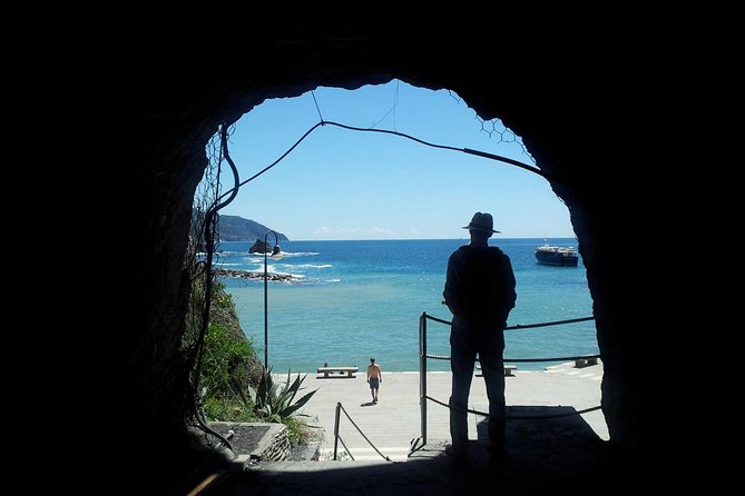 Cinque Terre Tour Small Group Tour from Lucca - Physical Requirements and Accessibility