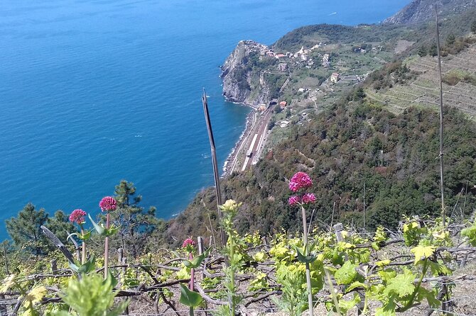 Cinque Terre unforgettable hiking experience - The End of the Hike and Return to La Spezia
