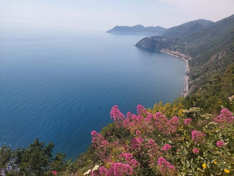 Cinque Terre Villages Walking panoramic tour - Discovering the Iconic Vernazza Viewpoints