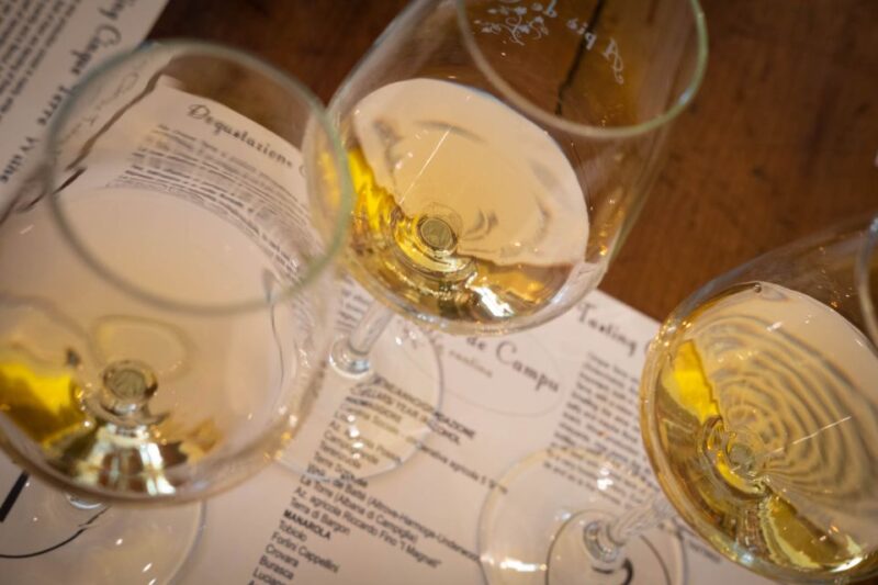 Cinque Terre: Wine Tasting and Walking Tour - Expert Guidance from a Skilled Sommelier