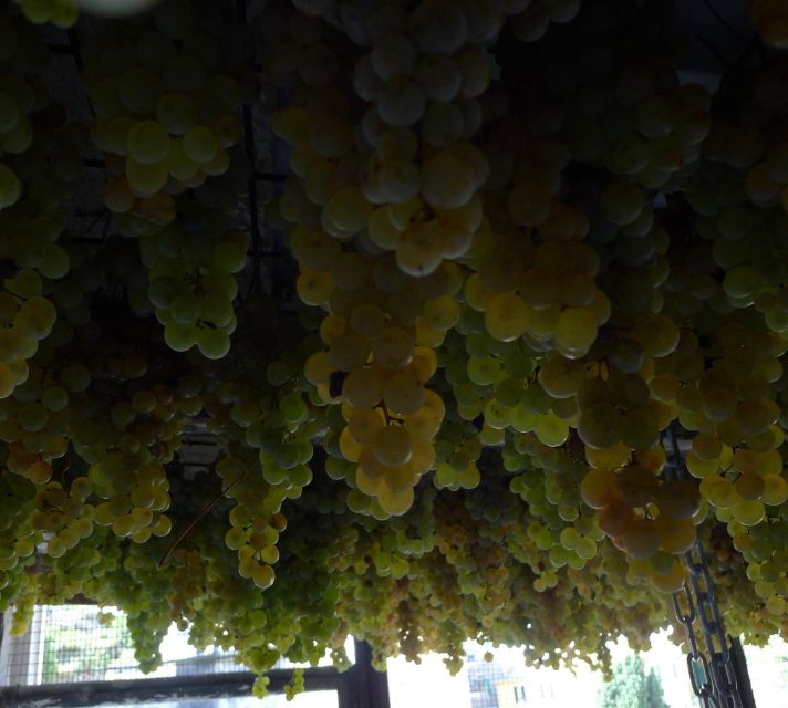 Cinque terre wine tour and tasting with the somelier - Discover the Charm of the Cinque Terre Wine Tour and Tasting with a Sommelier