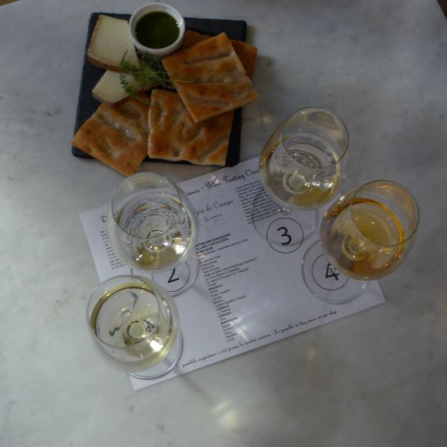 Cinque terre wine tour and tasting with the somelier - Learning to Recognize Wine Aromas and Sensations