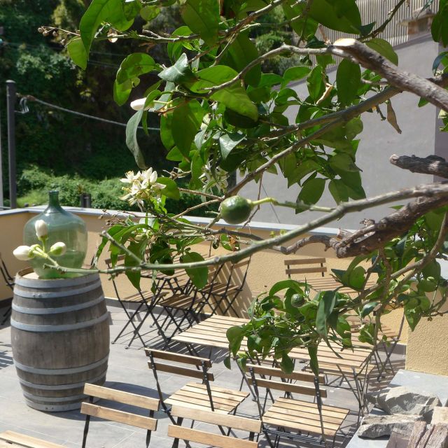 Cinque terre wine tour and tasting with the somelier - The Guide: Expertise and Personal Touch