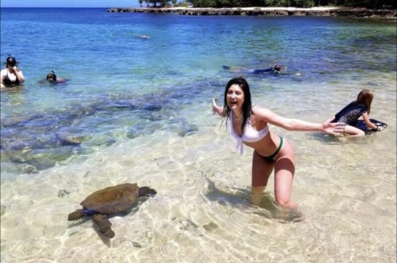 Circle Island: Swim with Turtles and Explore Paradise Oahu - Meet Hawaii Turtle Tours: Your Guide to Oahu’s Natural Wonders