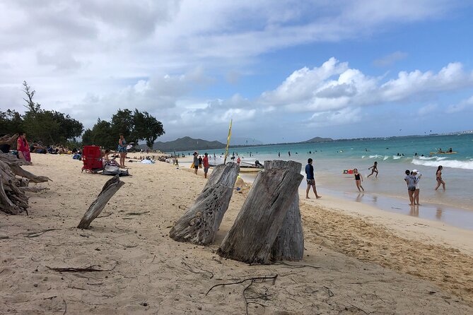 Circle Island tours - swim with turtles,Private & Small Group Tours - The Experience of a Small-Group Tour