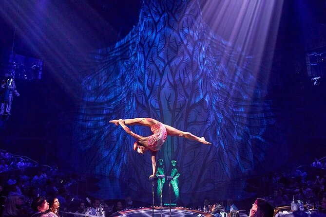 Cirque du Soleil JOYÀ Admission Tickets - How the Performance Engages the Senses