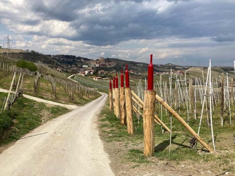 Cisterna d'Asti: E-Bike Tour Through Hills and Vineyards - Key Points