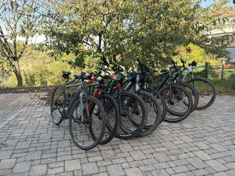 Cisterna d'Asti: E-Bike Tour Through Hills and Vineyards - Who Will Enjoy This Tour Most