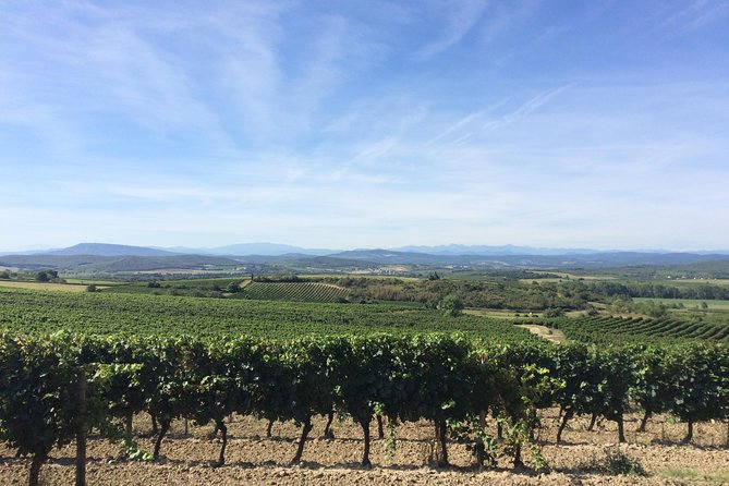 Cité de Carcassonne and Wine Tasting Private Day Tour from Toulouse - Wine Tasting at a Small Vineyard in Caux-et-Sauzens