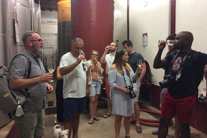 Cité de Carcassonne and Wine Tasting Private Day Tour from Toulouse - Who Will Enjoy This Fully Personalized Carcassonne & Wine Tour?