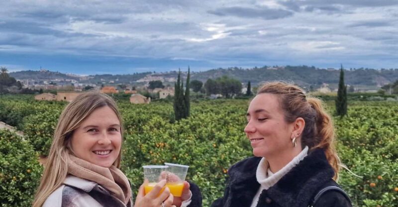 Citrus Treasures: Exploring Valencia's Orange Grove - Discover the 1870 Modernist House of La Ribera