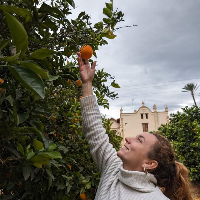 Citrus Treasures: Exploring Valencia's Orange Grove - Stroll Through the Orange Grove and Surrounding Gardens