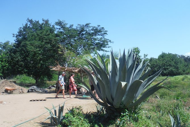 City and Country Side Tour with Luis - Explore Zihuatanejo’s Coastal Charm and Rural Life for $100.39