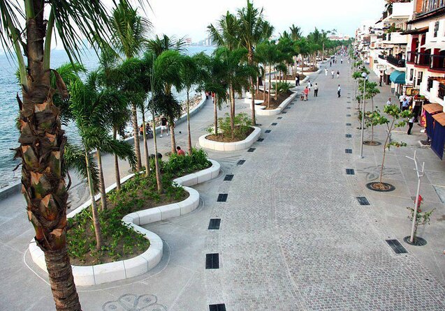 City and Tequila Tour in Puerto Vallarta - Explore Puerto Vallartas City and Tequila in a Single Tour