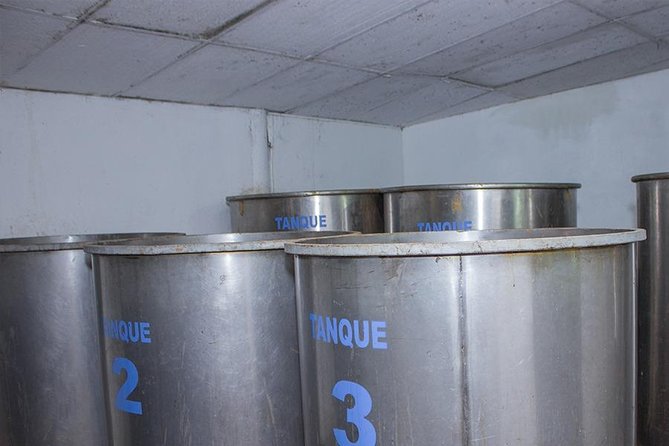 City and Tequila Tour in Puerto Vallarta - Authentic Mexican Food and Live Music at a Local Restaurant