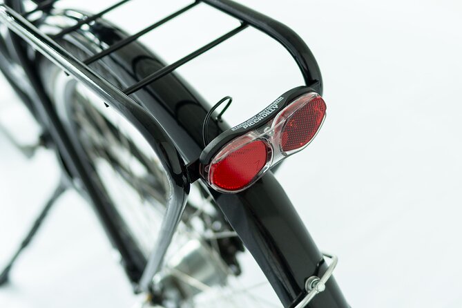 City Bike Rental in Dresden - The One Review Reflects a Delightful City Tour with Electric Support