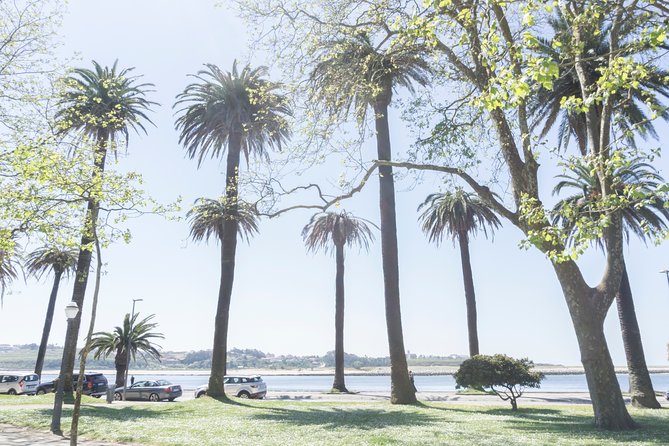 City Bike Rental in Porto - The Safety and Convenience of Included Equipment
