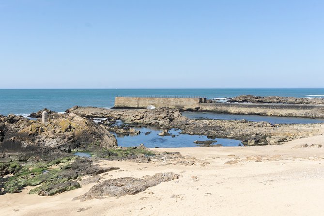 City Bike Rental in Porto - Who Should Consider This Porto Bike Rental