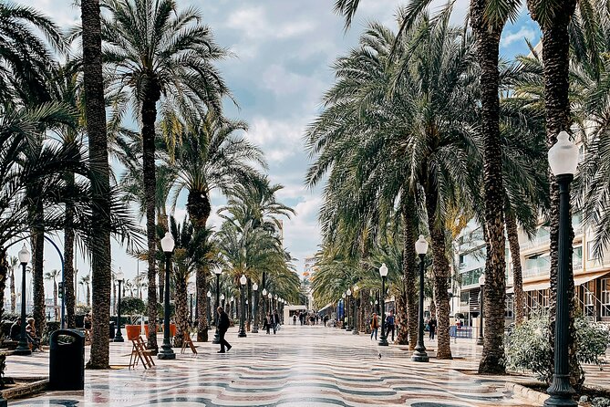 City Bike Tour in Alicante - Key Points