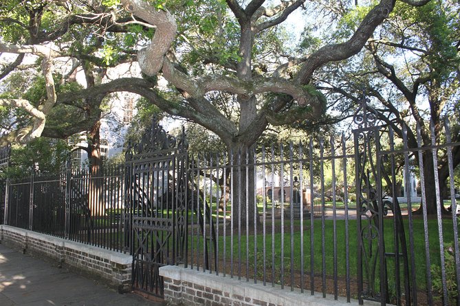 City Bus Tour with Charleston Museum Admission - The Guide: Knowledgeable and Engaging