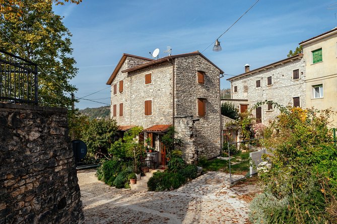 City Escape: Lake Garda Private Day Trip from Verona - Discovering Lake Garda’s Towns and Mountainous Scenery