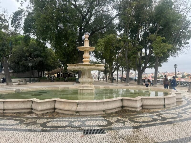 City Highlights Eco Tuk Tours - Flexibility and Extra Comfort Options