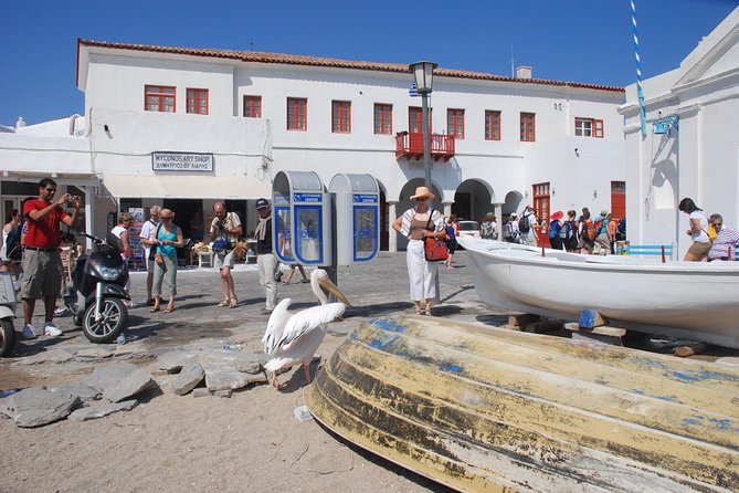 City & Island Tour - Scenic Beaches and Relaxation Time