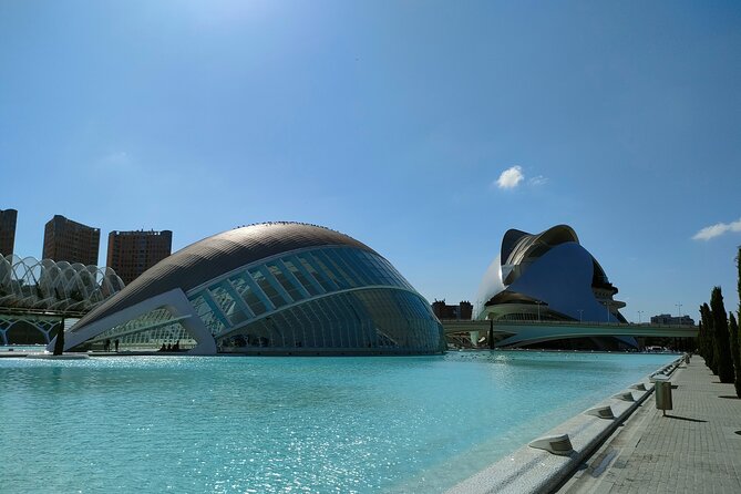 City of Arts and Sciences Bike Tour - Exploring Turia Park: A Green Escape in the Heart of Valencia